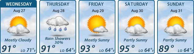 5-Day Forecast