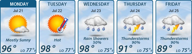 5-Day Forecast
