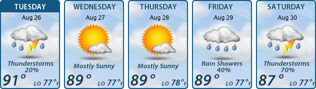 5-Day Forecast