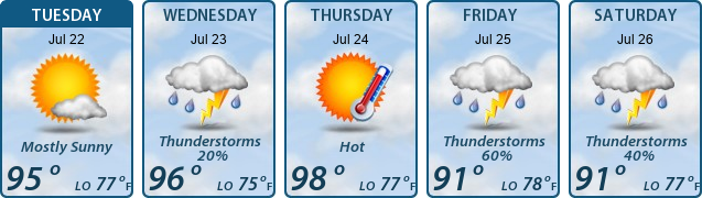 5-Day Forecast