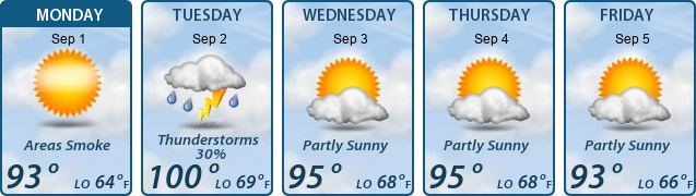 5-Day Forecast