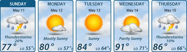 5-Day Forecast