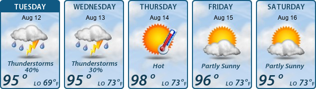 5-Day Forecast