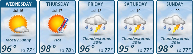 5-Day Forecast