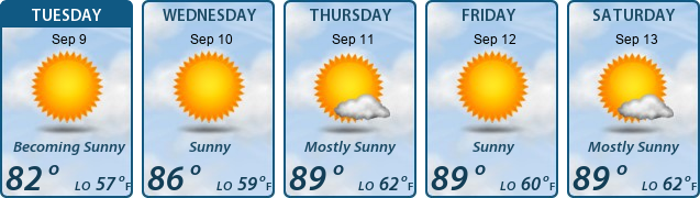5-Day Forecast