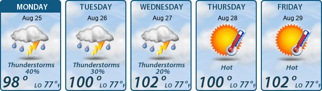5-Day Forecast