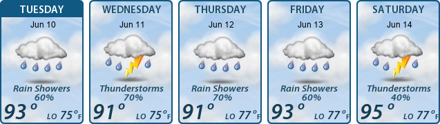 5-Day Forecast