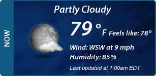 Current Conditions