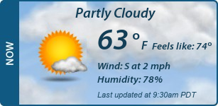 Current Conditions