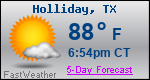 Weather Forecast for Holliday, TX
