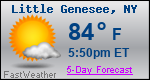 Weather Forecast for Little Genesee, NY