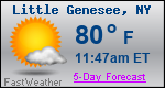Weather Forecast for Little Genesee, NY