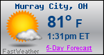 Weather Forecast for Murray City, OH