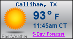 Weather Forecast for Calliham, TX