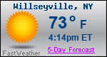 Weather Forecast for Willseyville, NY