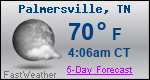 Weather Forecast for Palmersville, TN