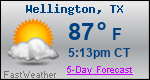 Weather Forecast for Wellington, TX