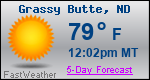 Weather Forecast for Grassy Butte, ND