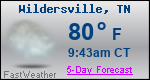 Weather Forecast for Wildersville, TN