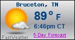 Weather Forecast for Bruceton, TN
