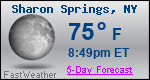 Weather Forecast for Sharon Springs, NY