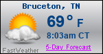 Weather Forecast for Bruceton, TN