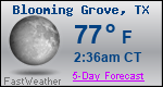 Weather Forecast for Blooming Grove, TX