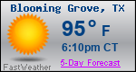 Weather Forecast for Blooming Grove, TX