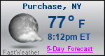 Weather Forecast for Purchase, NY