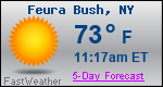 Weather Forecast for Feura Bush, NY
