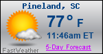 Weather Forecast for Pineland, SC