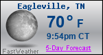 Weather Forecast for Eagleville, TN