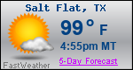 Weather Forecast for Salt Flat, TX
