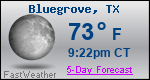 Weather Forecast for Bluegrove, TX