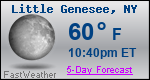 Weather Forecast for Little Genesee, NY