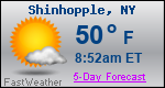 Weather Forecast for Shinhopple, NY