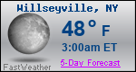 Weather Forecast for Willseyville, NY