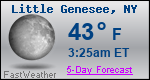Weather Forecast for Little Genesee, NY