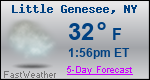 Weather Forecast for Little Genesee, NY