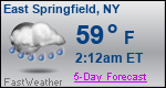 Weather Forecast for East Springfield, NY