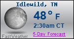 Weather Forecast for Idlewild, TN