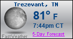 Weather Forecast for Trezevant, TN