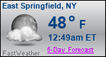Weather Forecast for East Springfield, NY