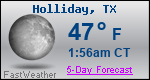 Weather Forecast for Holliday, TX