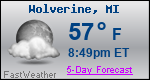 Weather Forecast for Wolverine, MI