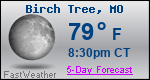 Weather Forecast for Birch Tree, MO