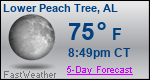 Weather Forecast for Lower Peach Tree, AL