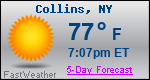 Weather Forecast for Collins, NY