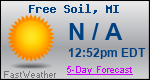 Weather Forecast for Free Soil, MI