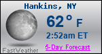 Weather Forecast for Hankins, NY